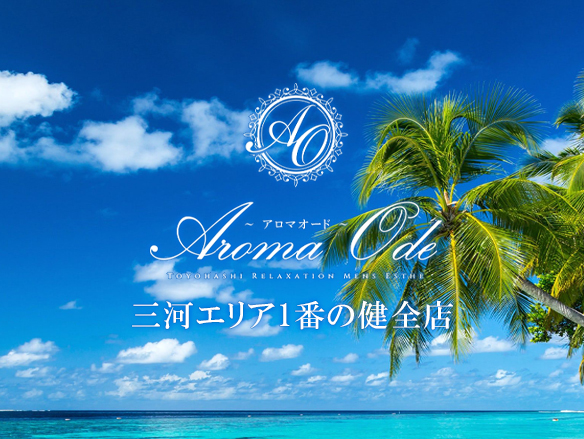 メンズエステランキング１位！三河エリアでの人気グループ店